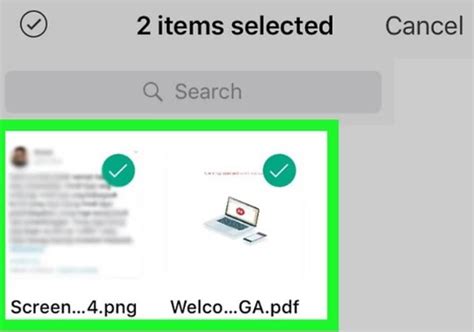 mega.nz recover deleted files|How to Recover Permanently Deleted Files from MEGA NZ.